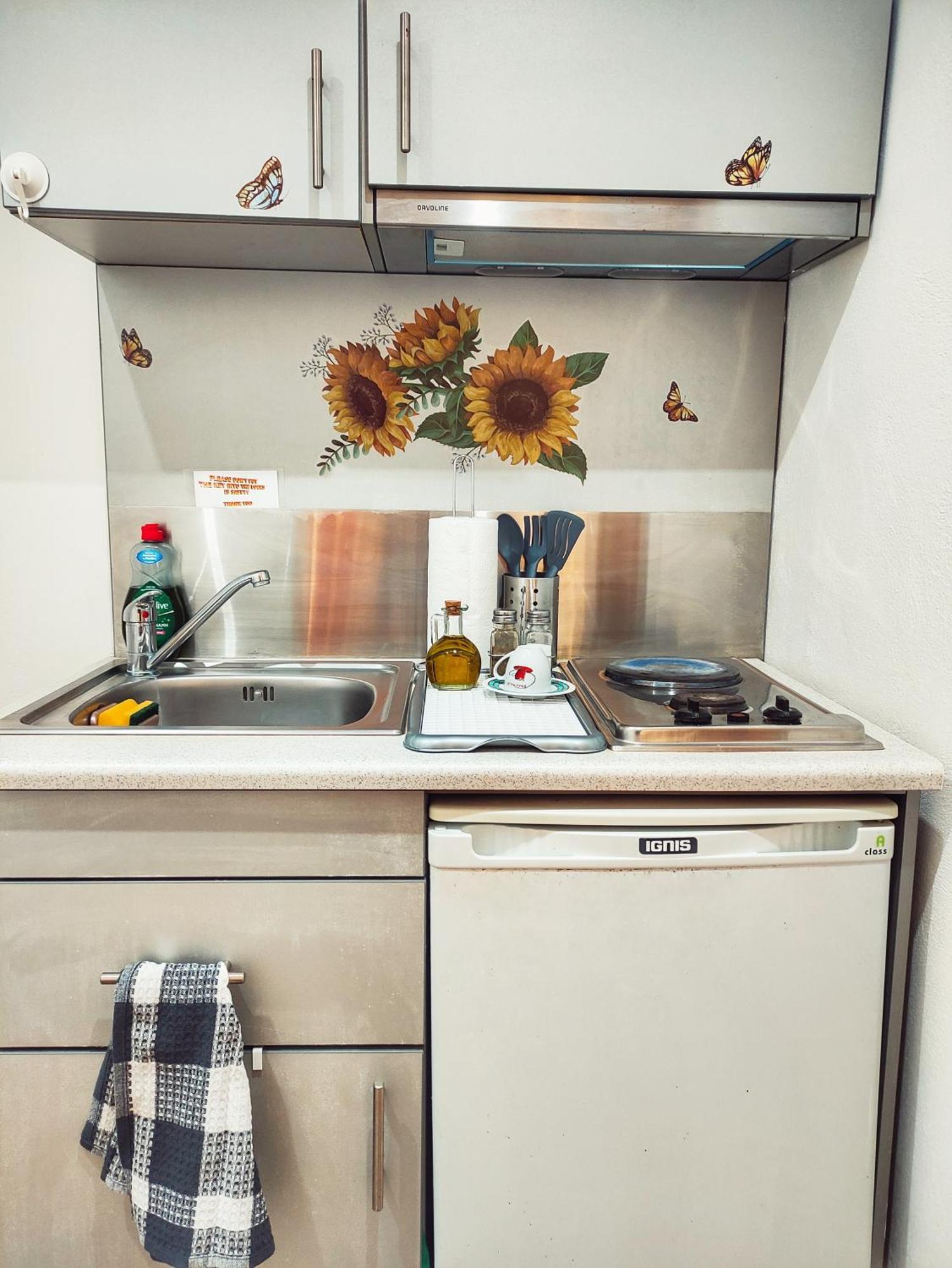 Rena'S Rooms Μελίντα Melinta 部屋 写真